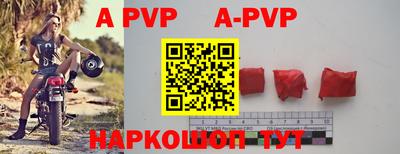 дурь Кингисепп