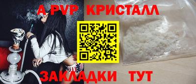 дурь Кингисепп