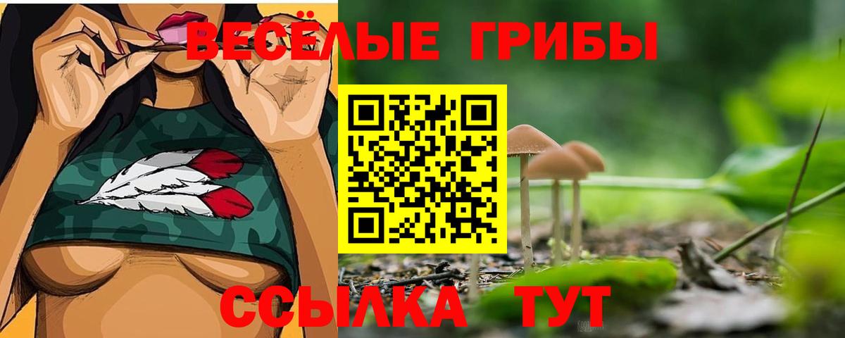 Псилоцибиновые грибы Psilocybine cubensis  сколько стоит  Бутурлиновка  Вход с VPN 